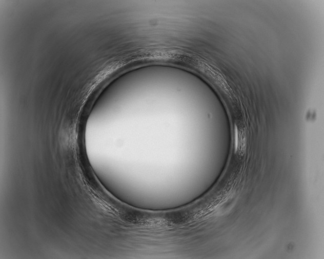 X0000100770483200806261547