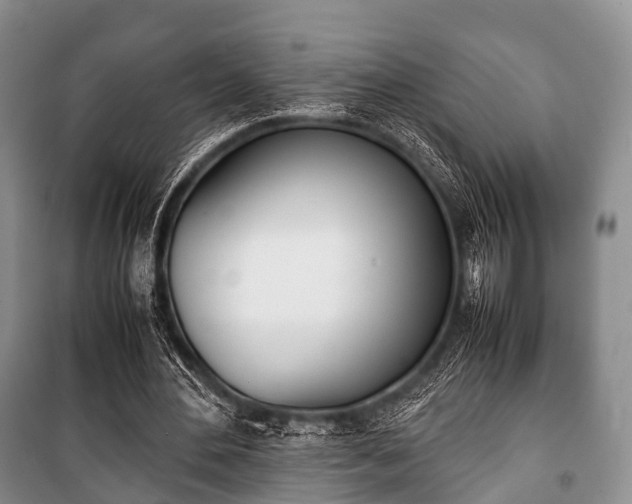 X0000100770484200806261547