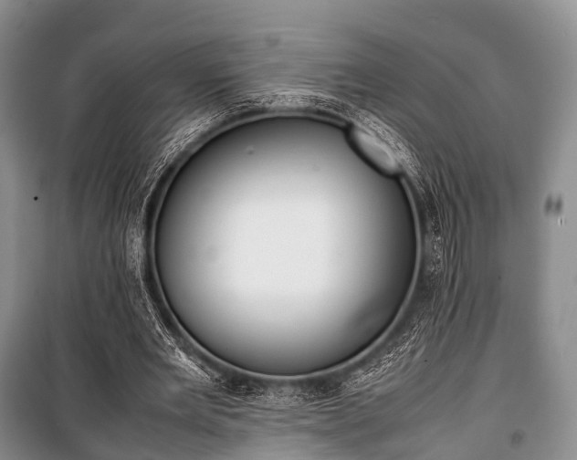 X0000100770485200806261547