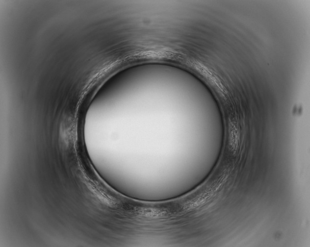 X0000100770486200806261547