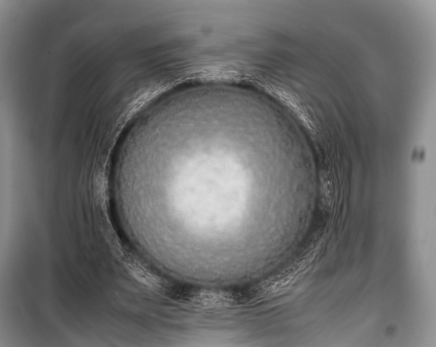 X0000100770487200806261547