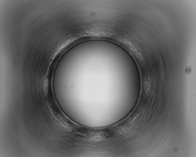 X0000100770488200806261547