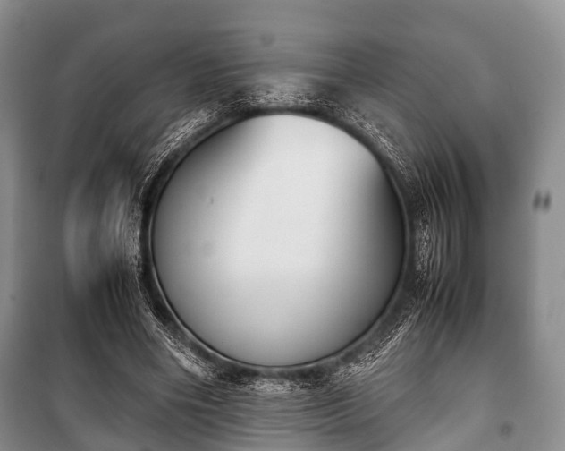 X0000100770490200806261547