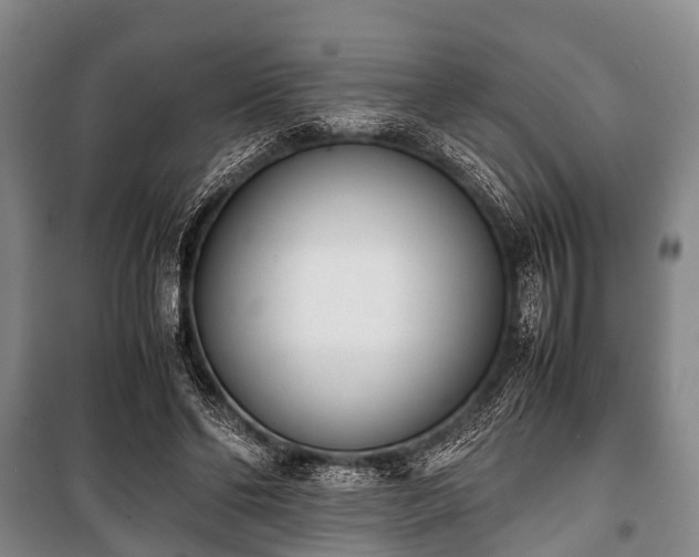 X0000100770494200806261547