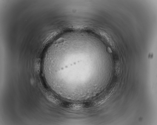 X0000100770495200806261547