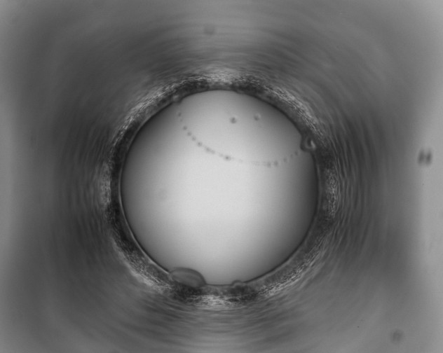 X0000100770496200806261547