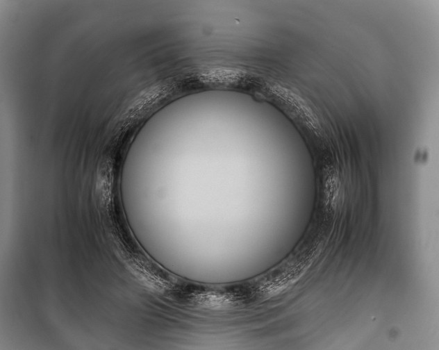 X0000100770498200806261547