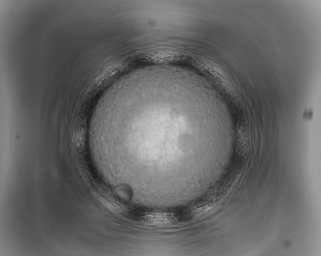 X0000100770499200806261547