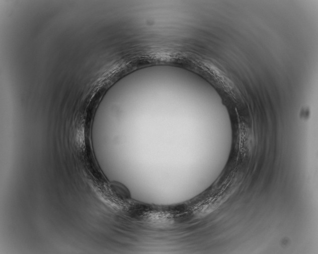X0000100770500200806261547