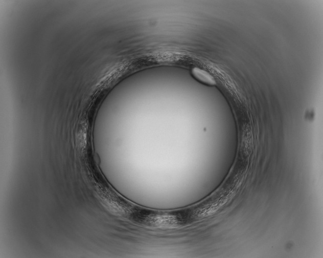 X0000100770501200806261547