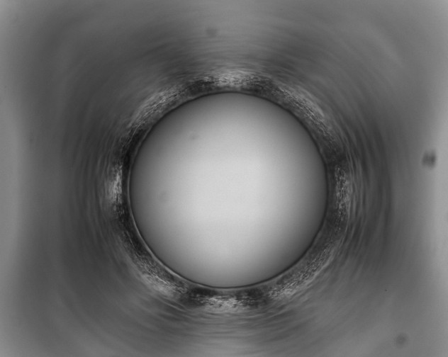 X0000100770502200806261547