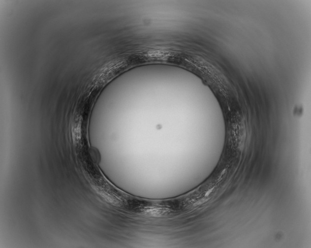 X0000100770504200806261547