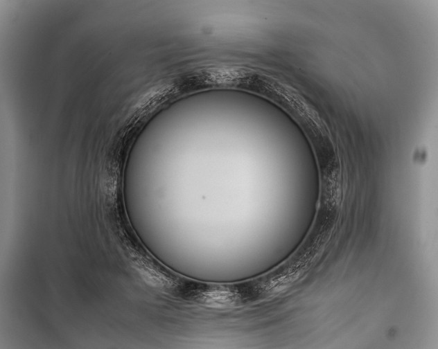X0000100770505200806261547