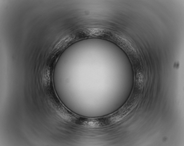 X0000100770506200806261547