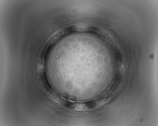 X0000100770507200806261546