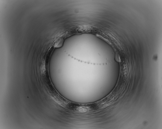 X0000100770508200806261546