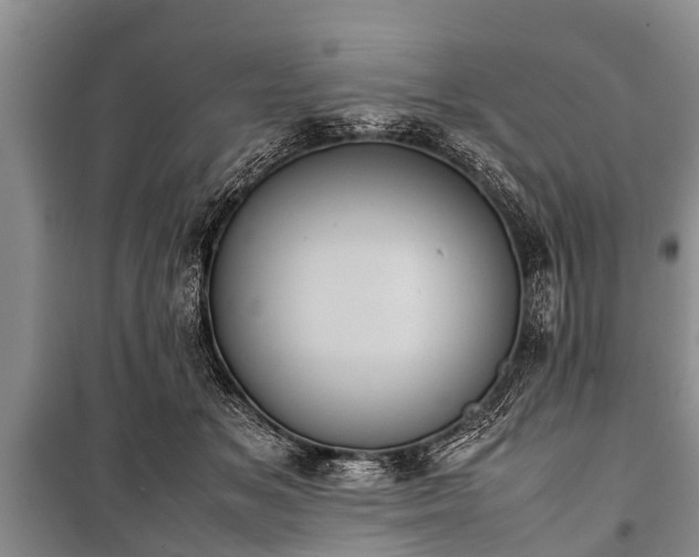 X0000100770509200806261546