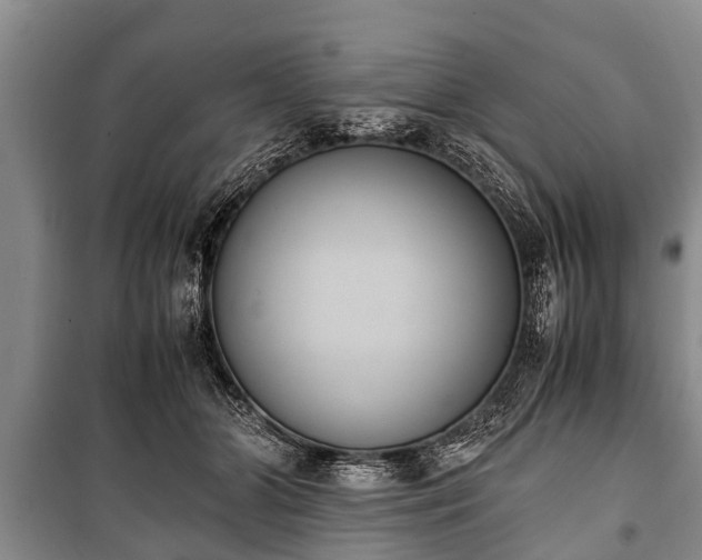 X0000100770510200806261546