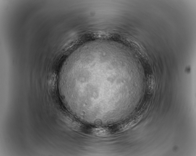 X0000100770511200806261546