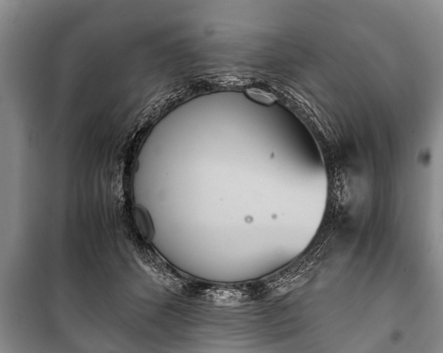 X0000100770512200806261546