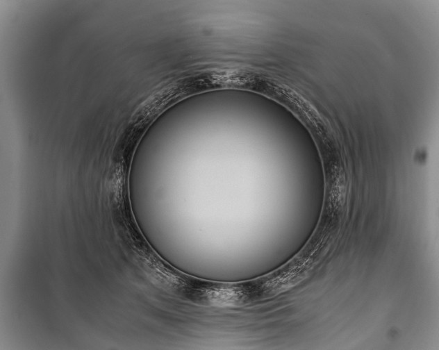 X0000100770513200806261546