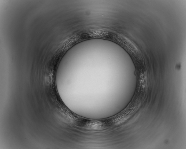 X0000100770514200806261546