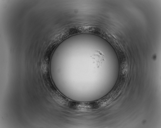 X0000100770515200806261546
