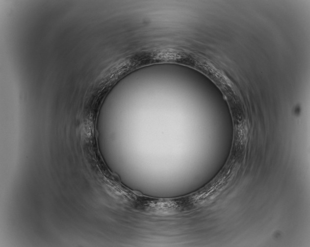 X0000100770517200806261546