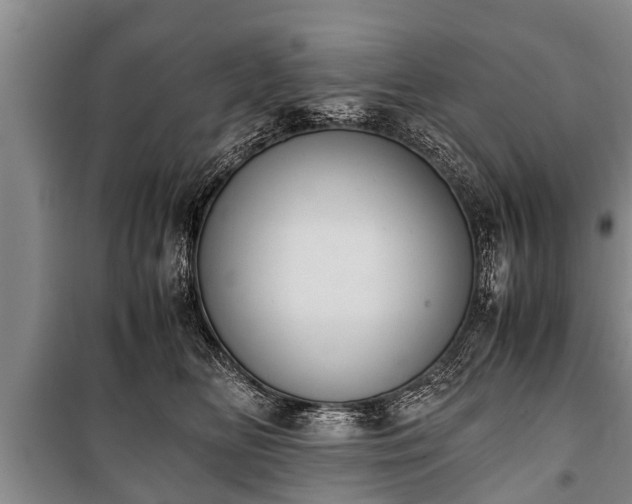 X0000100770518200806261546