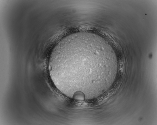 X0000100770519200806261546
