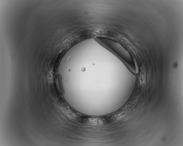 X0000100770520200806261546