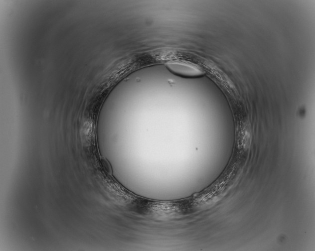 X0000100770521200806261546