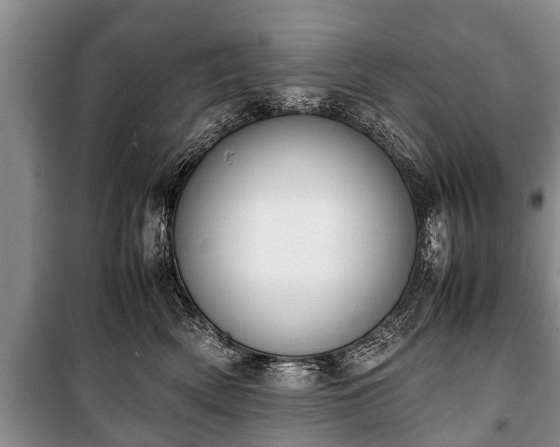 X0000100770522200806261546