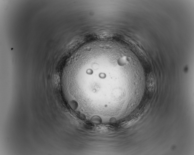 X0000100770523200806261546