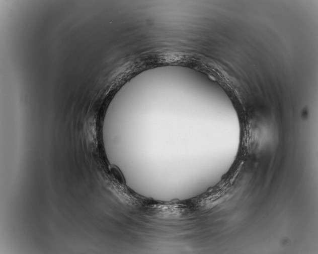 X0000100770524200806261546
