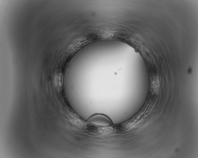 X0000100770525200806261546