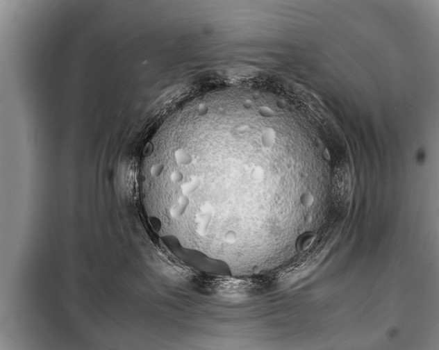 X0000100770527200806261546