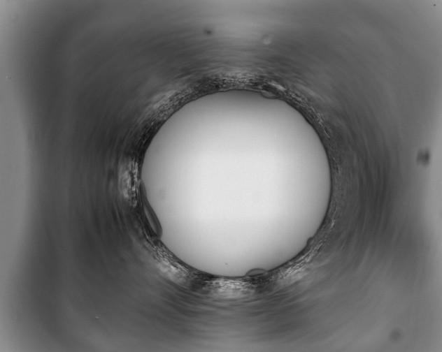 X0000100770528200806261546