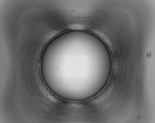 X0000100770529200806261545