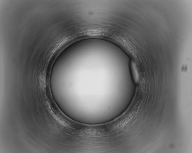 X0000100770530200806261545