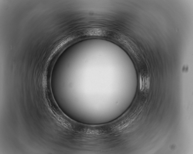 X0000100770531200806261545