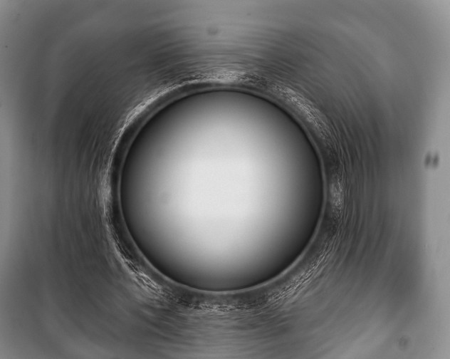 X0000100770532200806261545