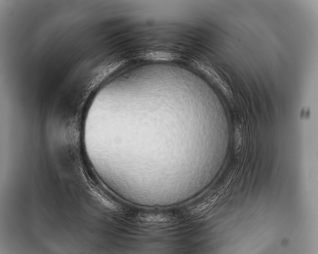 X0000100770533200806261545