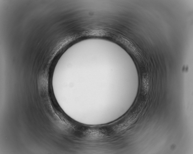 X0000100770534200806261545