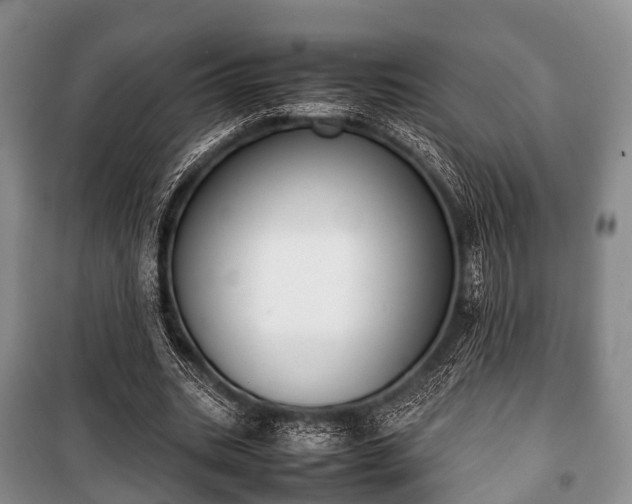 X0000100770535200806261545