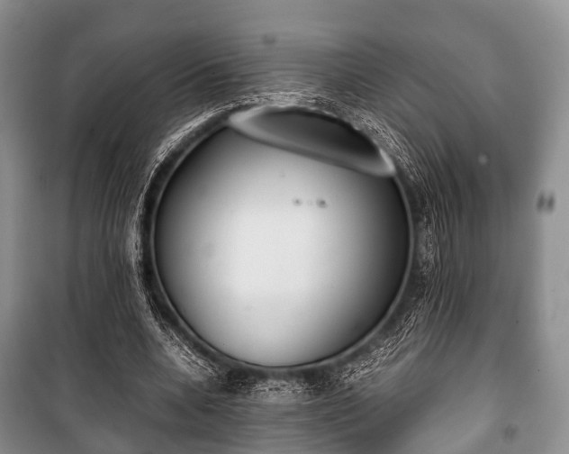 X0000100770536200806261545