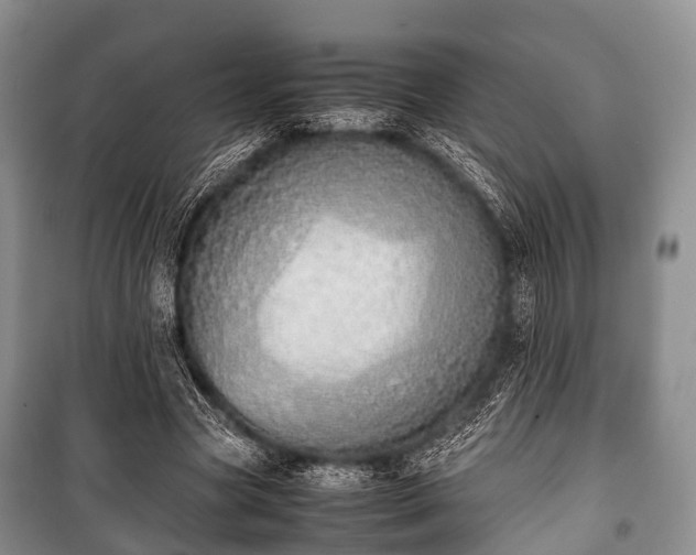 X0000100770537200806261545