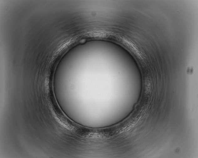 X0000100770538200806261546