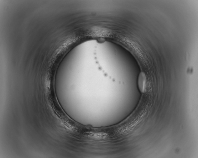X0000100770539200806261546