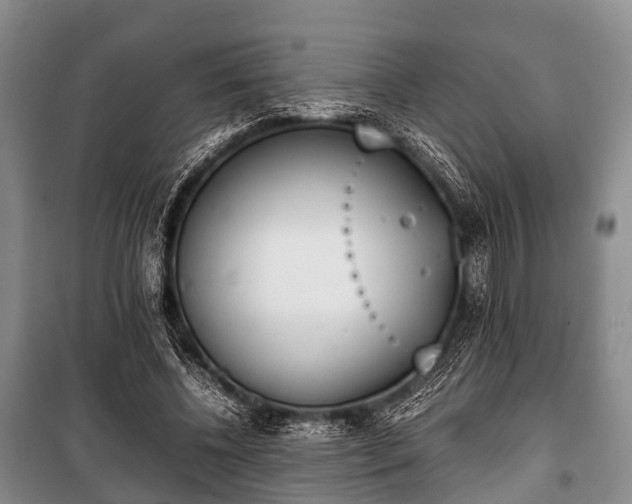 X0000100770540200806261546